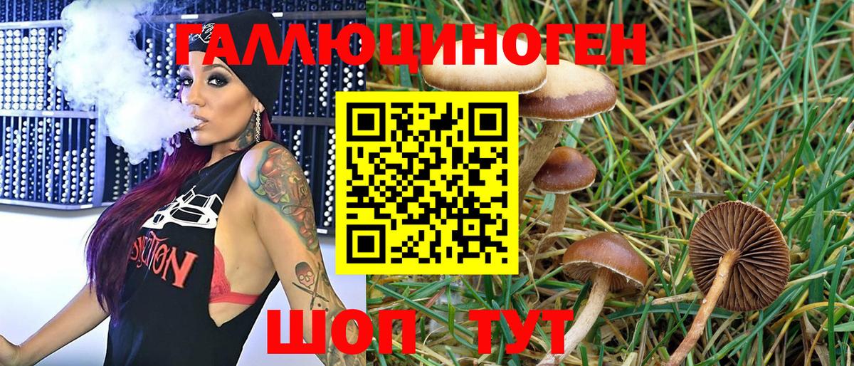 Кемерово  Псилоцибиновые грибы Psilocybe  Псилоцибиновые грибы прущие грибы  Вход с VPN 